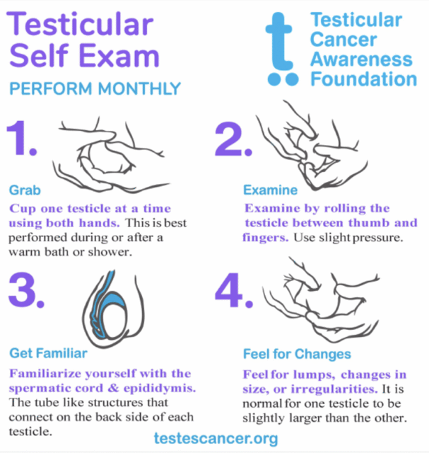 Testicular self-exam